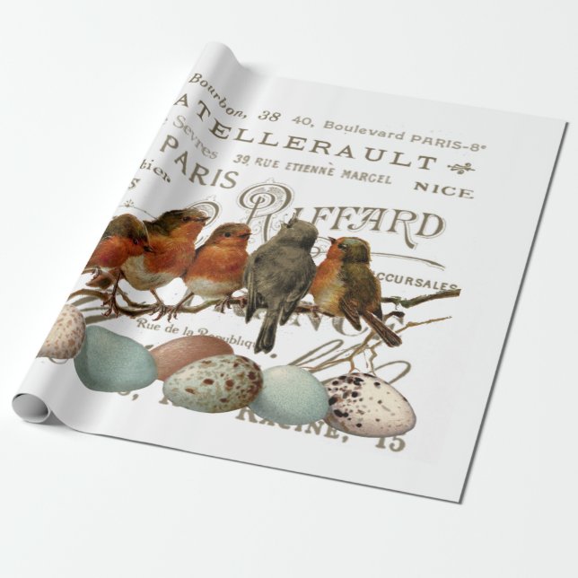 Papier Cadeau Oiseaux et Oeufs Vintages Noms de ville Français D (Déroulé)