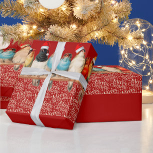 Papier Cadeau Oiseaux portant des chapeaux de Père Noël assis su