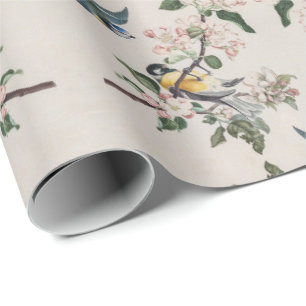 Papier Cadeau Oiseaux Tit vintages Sur Un Pommier