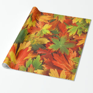 Papier Cadeau Or orange rouge et feuille vert de soleil
