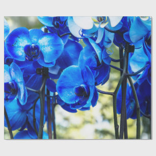 Papier Cadeau Orchidée bleue