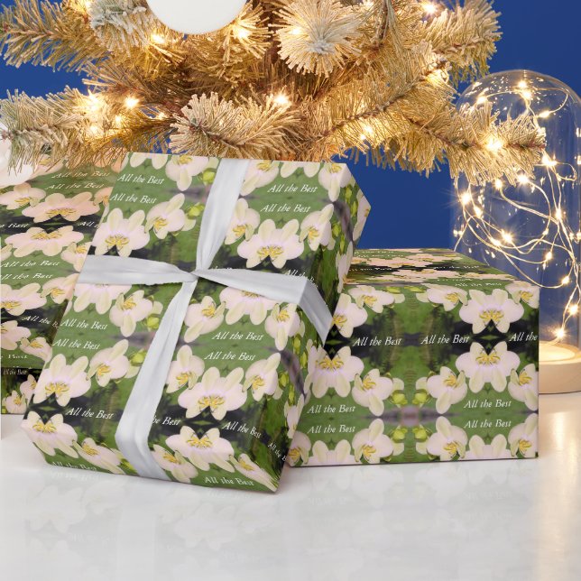 Papier Cadeau Orchidées blanches sur un fond vert (Vacances)