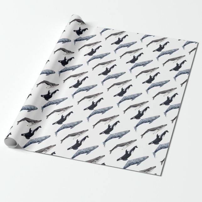 Papier Cadeau Orque, baleine bossue et baleine gris (Déroulé)
