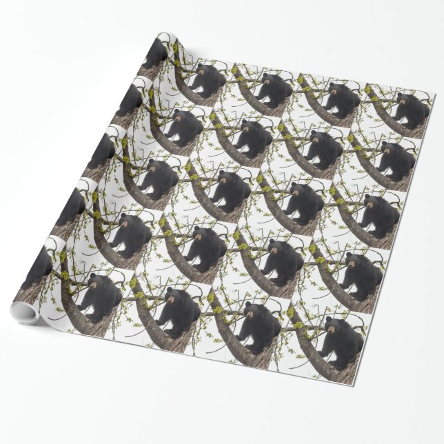 Papier Cadeau Ours noir Escalade (Déroulé)