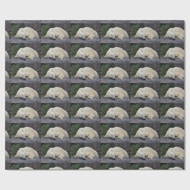 Papier Cadeau Ours polaire endormi (Plat)