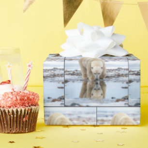 Papier Cadeau Ours polaire regardant son reflet