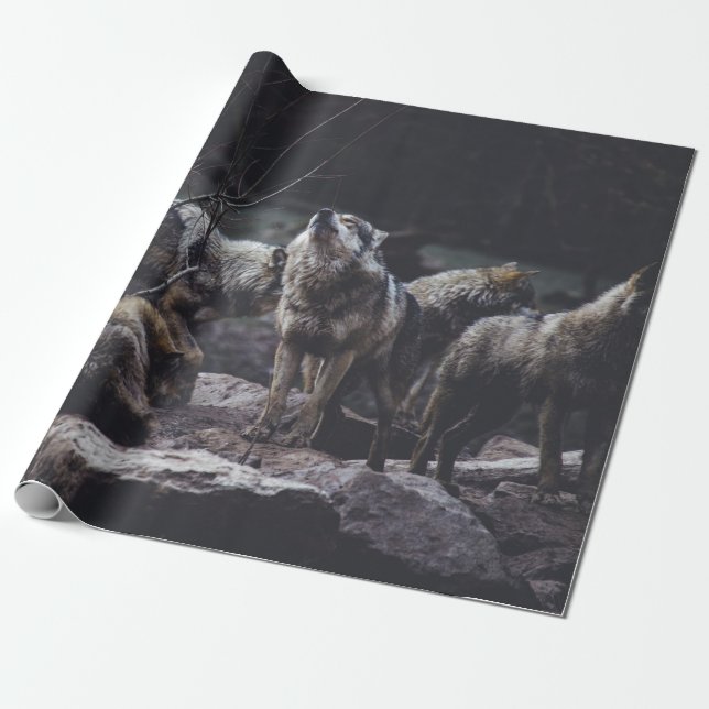 PAPIER CADEAU PACK DE LOUPS EN FORMATION ROCK (Déroulé)