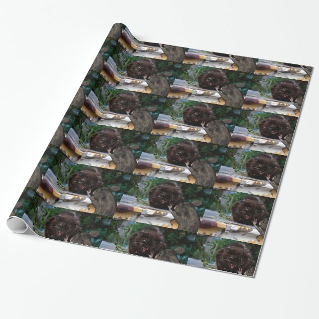 Papier Cadeau Paix ! (Déroulé)