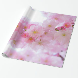Papier Cadeau Pâlissez - les fleurs de cerisier roses
