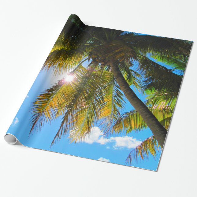 Papier Cadeau Palm Paradise Ciel Bleu Soleil (Déroulé)