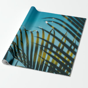 Papier Cadeau Palmier vert plante sous ciel bleu le matin
