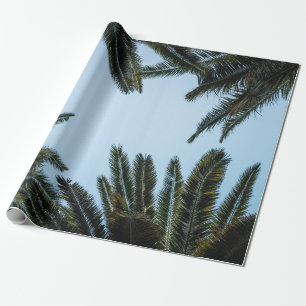 PAPIER CADEAU PALMIER VERT SOUS LE CIEL BLANC