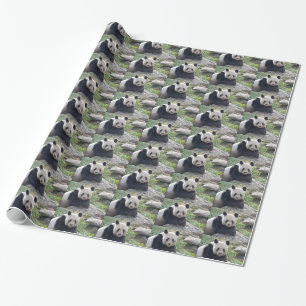 Papier Cadeau Panda Géant Amical