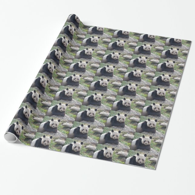 Papier Cadeau Panda Géant Amical (Déroulé)