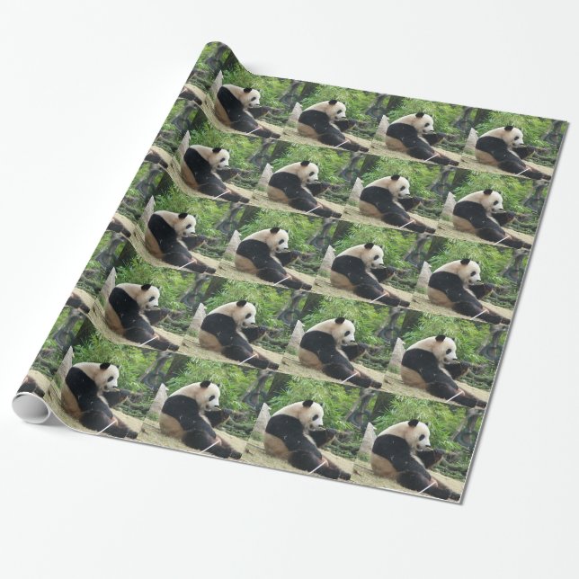 Papier Cadeau Panda géant mangeant du bambou. (Déroulé)