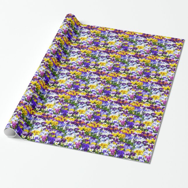 Papier Cadeau Pansies (Déroulé)