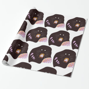 Papier Cadeau Papier à enveloppement