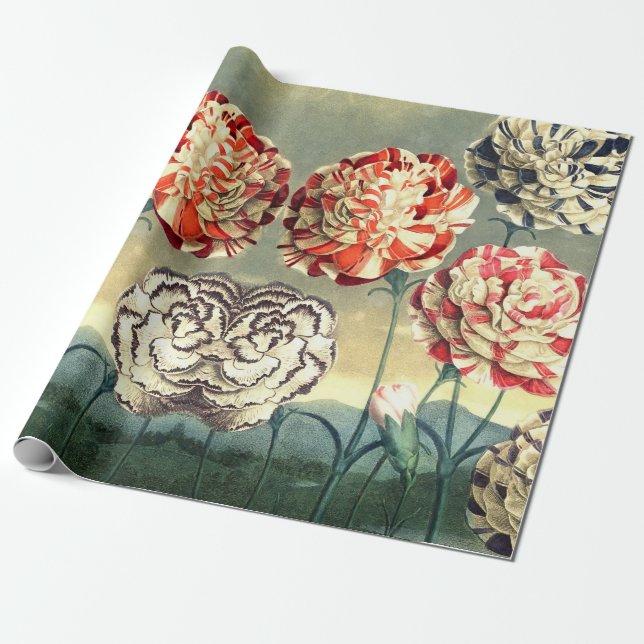 Papier Cadeau Papier à enveloppement vintage (Déroulé)