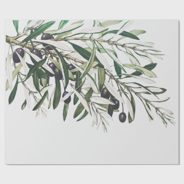 PAPIER CADEAU PAPIER CADEAU: MERRY CHRISTMAS OLIVE BRANCHE (Plat)