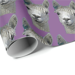 Papier Cadeau Papier d'alpaga sur le mauve