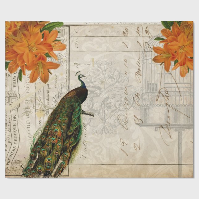 Papier Cadeau Papier de Decoupage d'éphémères de paon (Plat)