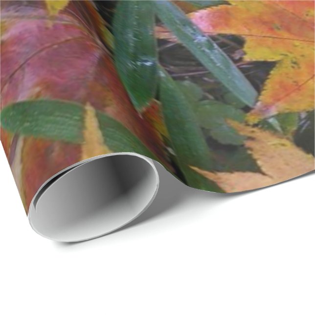 Papier Cadeau Papier d'écureuil (Coin rond)