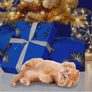 Papier Cadeau Papier d'emballage