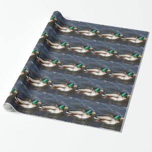 Papier Cadeau Papier d'emballage de canard masculin de Mallard