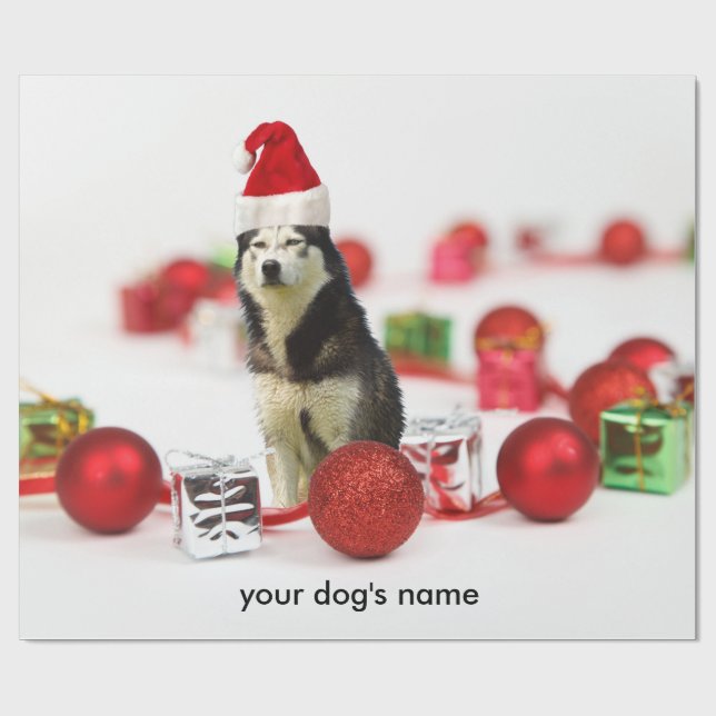 Papier Cadeau Papier d'emballage de Noël Sibérien Husky (Plat)