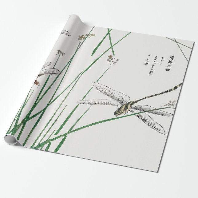 Papier Cadeau Papier d'emballage PERSONNALISABLE de MOUCHE (Déroulé)