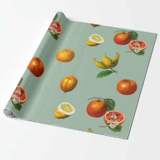 Papier Cadeau Papier d'emballage vintage pour agrumes