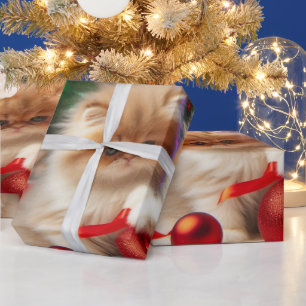 Papier Cadeau Papier d'enveloppement de chats persan de Noël mig