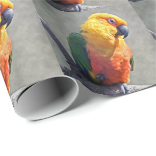 Papier Cadeau Papier d'enveloppement Jenday Conure