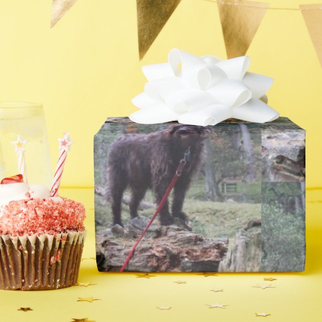 Papier Cadeau Papier d'enveloppement personnalisé pour chien (Fête d'anniversaire)