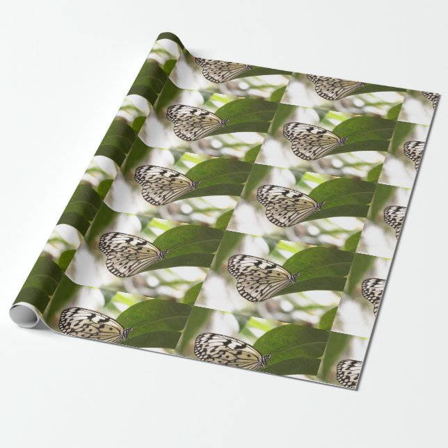 Papier Cadeau Papier papillon (Déroulé)