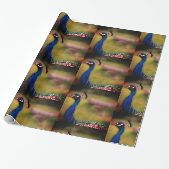 Papier Cadeau Papier Peacock Photo Matte Wrapper (Déroulé)