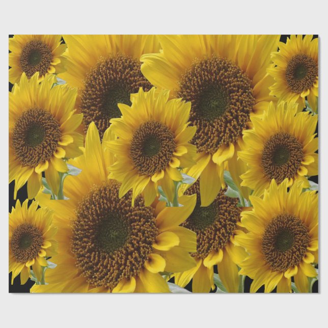 Papier Cadeau Papier tournesol enveloppant mat (Plat)