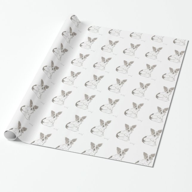 Papier Cadeau Papillon Fond d'écran (Déroulé)