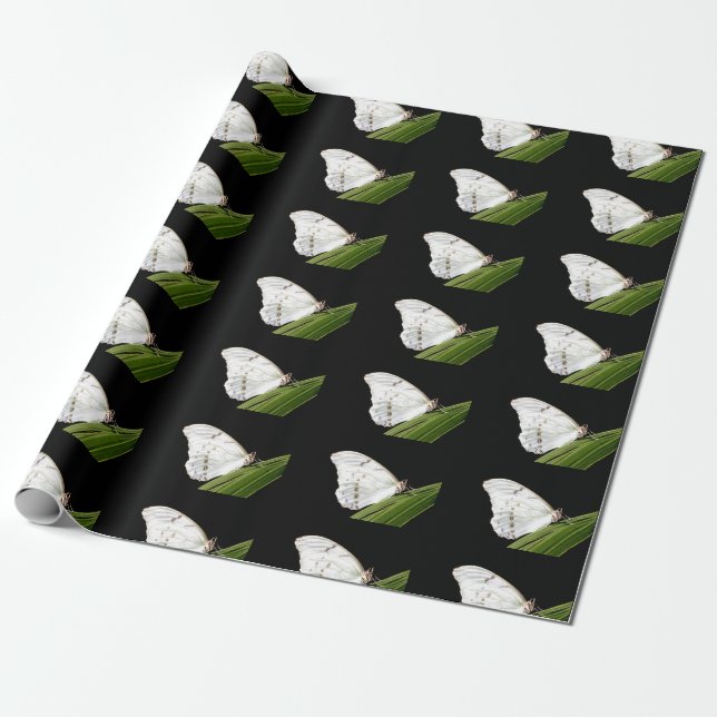 Papier Cadeau Papillon Morpho blanc sur feuille (Déroulé)