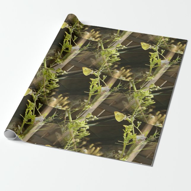 Papier Cadeau Papillons amoureux.... (Déroulé)
