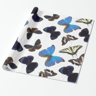 Papier Cadeau Papillons assortis