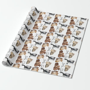 Papier Cadeau paquet de chats, paquet de chats amusants