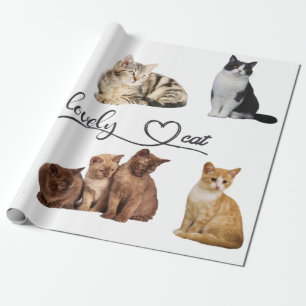 Papier Cadeau paquet de chats, paquet de chats amusants