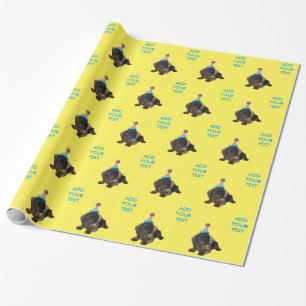 Papier Cadeau Partie Pooper