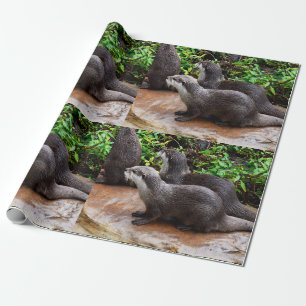 Papier Cadeau **"Patience au bord de l'eau : deux petites loutre