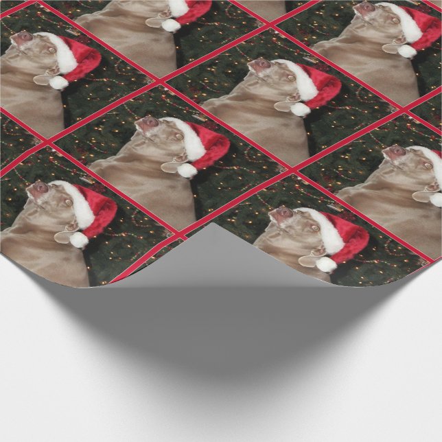 Papier Cadeau Pattes de Père Noël - style de Weimaraner - papier (Coin)
