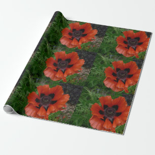 Papier Cadeau pavot d'Orient