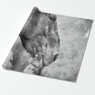 Papier Cadeau Pays Cheval Rustique Noir Et Blanc Découpage