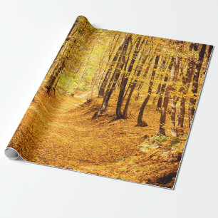Papier Cadeau Paysage forestier d'automne