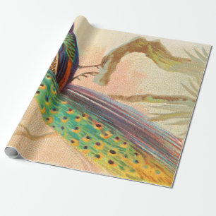 Papier Cadeau Peacock vintage sur une branche